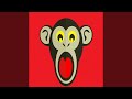 Monkey Sound For Editing
