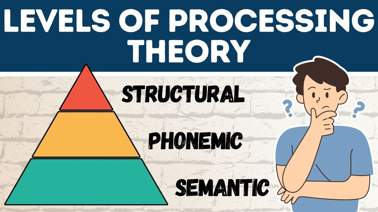 Levels of Processing Theory  (Explained in 3 Minutes)