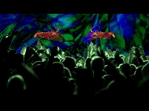 Progressive Mix by Lobster - Volume 08  - A Real Live One