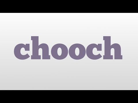 chooch meaning and pronunciation