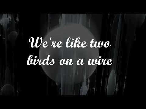 Fedde Le Grand ft. Niels Geusebroek - Falling (Lyrics Video)