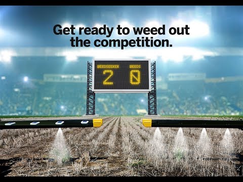 download lagu mp3 mp4 Weedseeker, download mp3 Weedseeker free download mp3, download mp3 Weedseeker