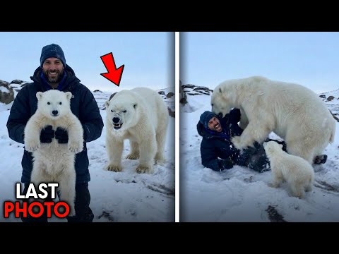 These RECKLESS People Got Mauled By Dangerous Animals!