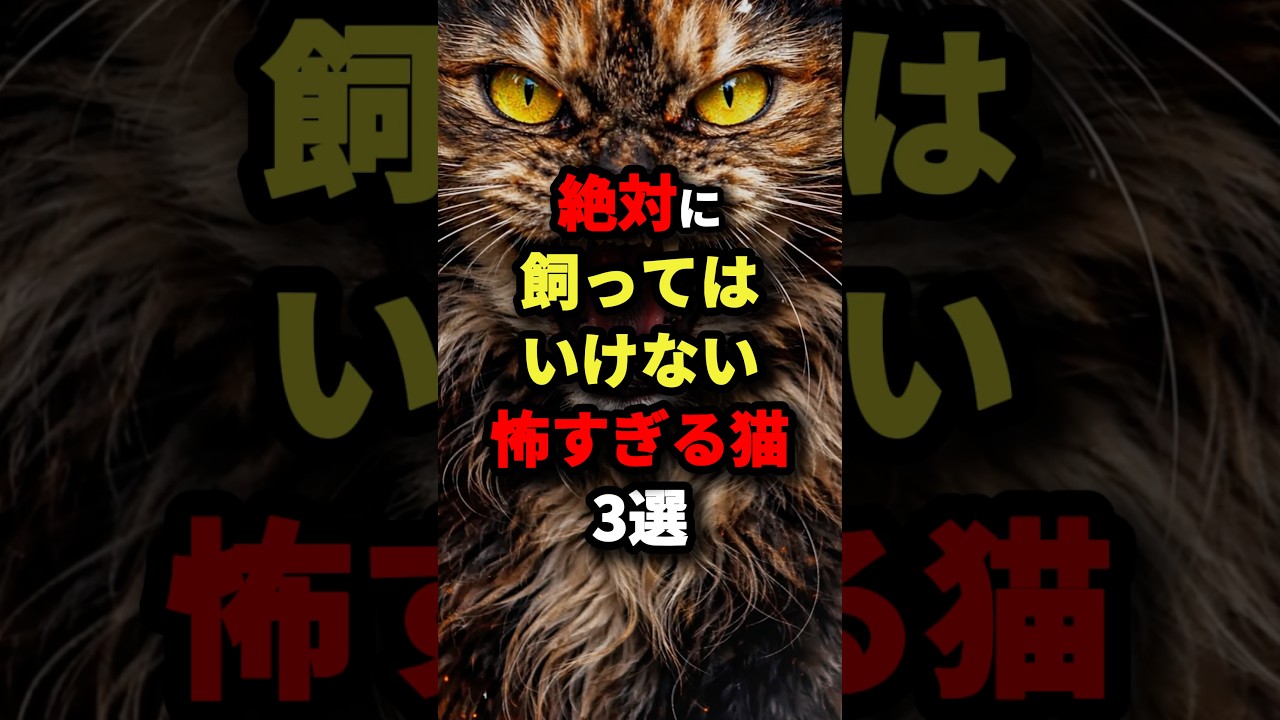 ㊗️32万回再生‼︎【最後は破壊神】飼ってはいけない怖すぎる猫3選！