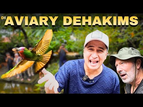 Grebek Rumah Irfan Hakim! Cari Sapi Terkecil se-Indonesia