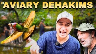 Download lagu Grebek Rumah Irfan Hakim! Cari Sapi Terkecil se-Indonesia mp3