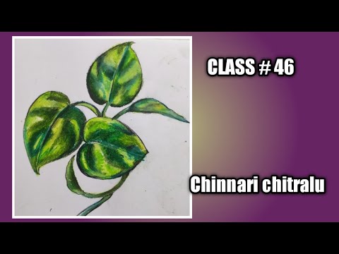 Drawing Class || How to draw a money plant|| money plant