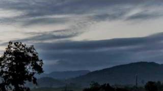 Harvey's Tune (Al Cooper Steve Stills) Michael Dallas