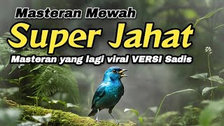 Download lagu SUPER JAHAT‼️Masteran Yang Lagi Viral Versi Sadis#masteranburung mp3 Download lagu SUPER JAHAT‼️Masteran Yang Lagi Viral Versi Sadis#masteranburung mp3