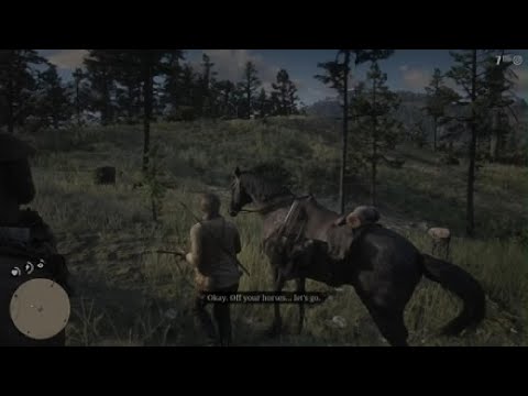 Red Dead Redemption 2 / FULL GAME Walkthrough Part 5 / All cinematic