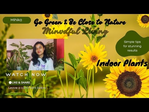 Mindful Living with Indoor Plants 🌱 | Create a Calm & Fresh Home