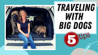 Traveling with Large Dogs | 5 Simple Tips to Turn a Road Trip From Overwhelm to Adventure