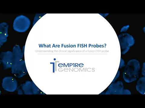 Empire Fish Probes