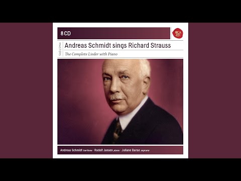 Lieder, Op. 48: Freundliche Vision