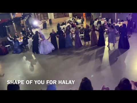 GRUP ÜMITLER 2020 - Shape Of You /Halay Remix