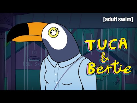 Tuca Asks Kara to Compromise | Tuca & Bertie | adult swim