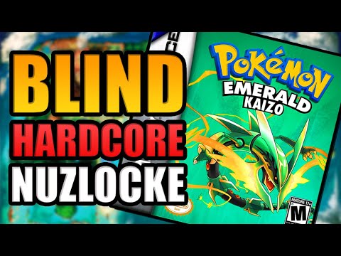 I Tried Playing Emerald Kaizo Blind for Charity! (No calcs, No docs)