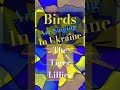 The Tiger Lilies - Birds Are Singing In Ukraine #shorts #newsong