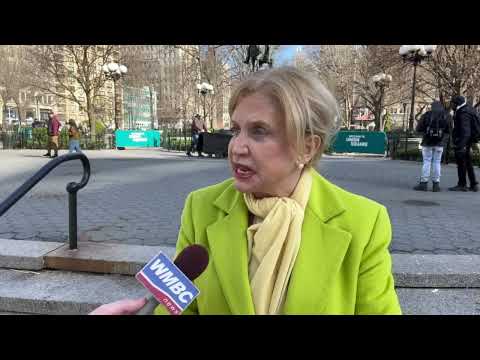 NYC Crime Wave and Gun Initiative