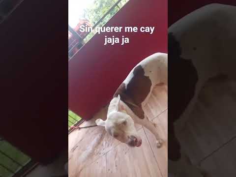 22 de octubre de 2025