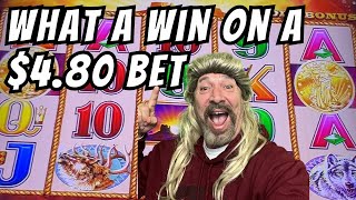 Moving Your Bet Up On Buffalo And Get A Big Win #2023 #4k