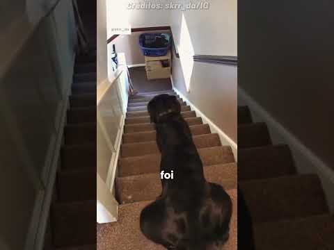 Ele nunca mais desce desse jeito! 😬 (@skrr_da via IG) #shorts