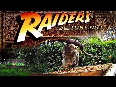 AirHeads – Raiders of the Lost Nut AirHeads – Raiders of the Lost Nut