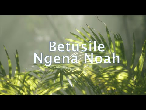 Betusile - Ngena Noah (Official Lyric Video)