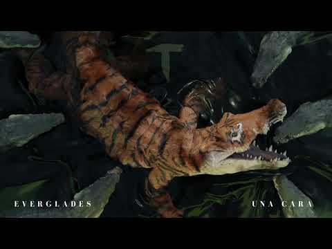 El Taiger ft Alexander Delgado  - Una Cara (Audio Oficial)