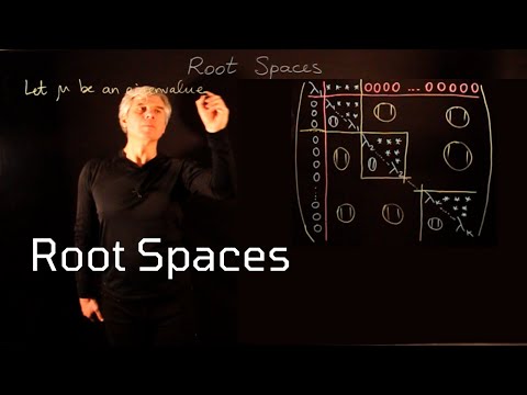 Lecture 48. Root Spaces