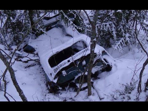 Thumbnail for Forest Find: Volkswagen Beetle by Volkswagen