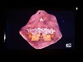 Smallfoot Cartoon Network Intro Late Network Premiere