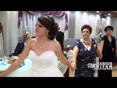 Armin & Petrica Nicoara si Fane Banateanu 2015 - LIVE 02 - Nunta Liliana si Eugen