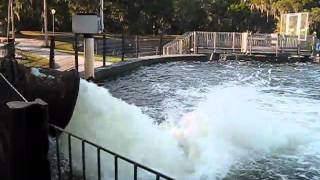 preview picture of video 'SULPHUR SPRINGS PARK, TAMPA, FL, USA - LARGE WATER PIPE DUMPING WATER INTO THE SPRINGS'