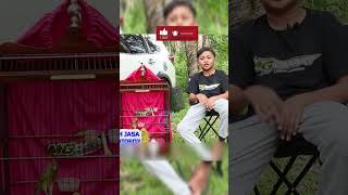 Download lagu WITHOUT OUTFRONT? WITHOUT SUN? CAN YOU REALLY WIN? CARING FOR COMPETITION CANARIES | CARING FOR G... mp3