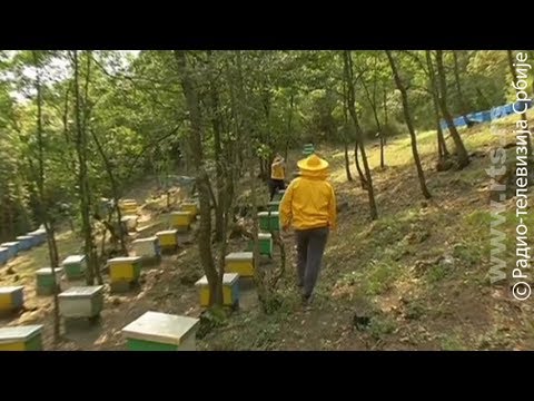 Pravo na sutra – 28. avgust 2018