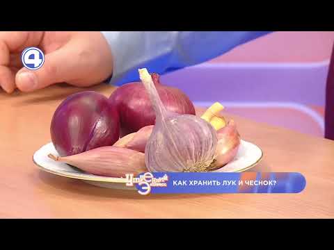 Как правильно хранить лук и чеснок