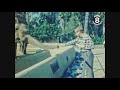 San Diego Zoo Visitors The Day After Christmas 1966