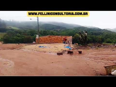 12 HECTARES VENDO NO MUNICÍPIO DE BARÃO DO TRIUNFO RIO GRANDE DO SUL, PLANTA 90%.