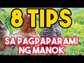 8 TIPS SA PAGPAPARAMI NG MANOK BREEDING TIPS FREE RANGE CHICKEN PRODUCTION WANDERING SOUL