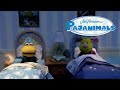 How Do I Know If It S Morningtime Pajanimals The Jim Henson Company