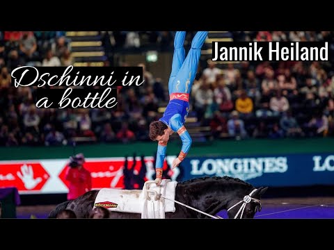 Aladdin's Dschinni 🏺| Jannik Heiland | Partner Pferd Leipzig