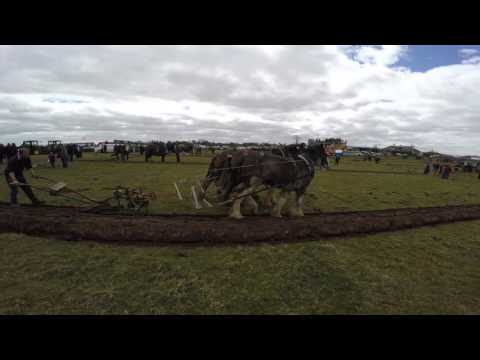 MAYO COUNTY PLOUGHING 2016