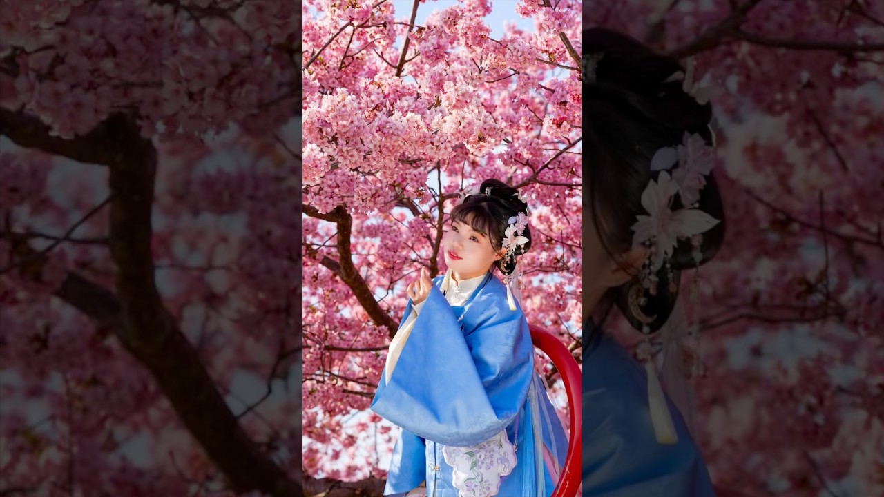 Take a picture of beautiful lady with Cherry Blossom 2025 #streetphotography  #japan