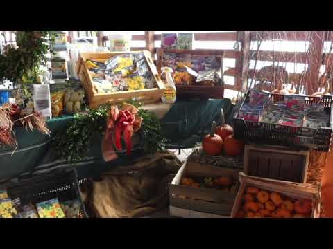 Sussex County Honey and Garlic Festival