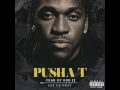 Pusha T feat. Diddy - Changing Of The Guards