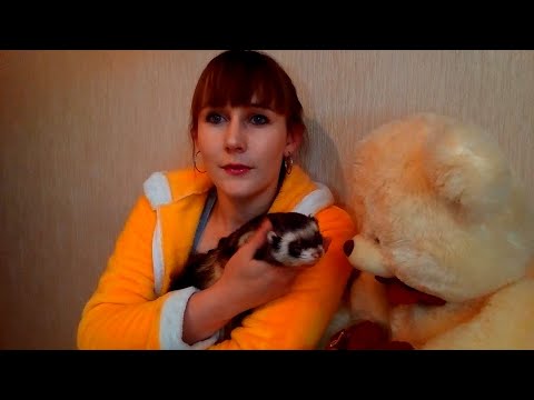 Ночь без воды!Любитель посидеть на ручках!