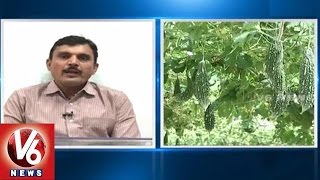 Sagubadi | Vegetables Cultivation Techniques l Canopy Farming  l V6 News