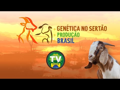 Live de lançamento +GENÉTICA NO SERTÃO #47 - 16/05/2024