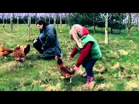 Morrison Supermarkets, Free Range Eggs TVC